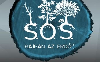 Siker után is folytatódik az S.O.S. - Bajban az erdő