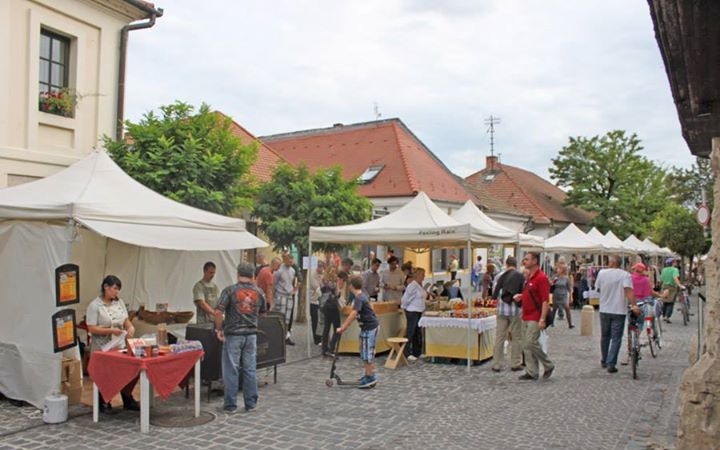 Fűben-fában orvosság a Dumtsa Korzón