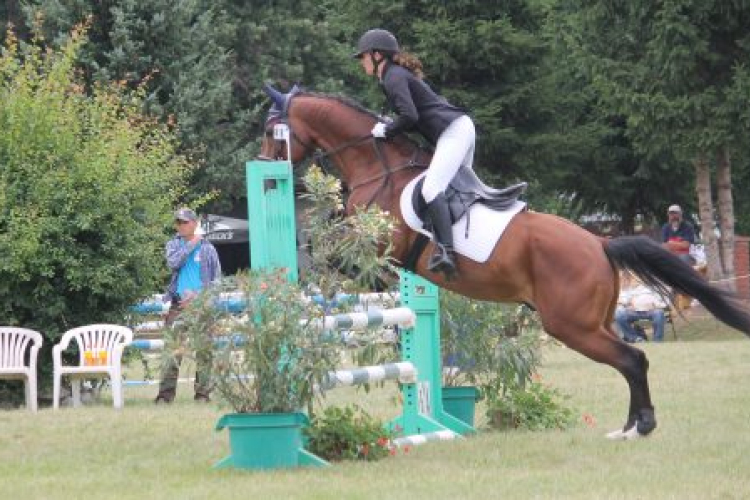 Szentendrei Lovassiker