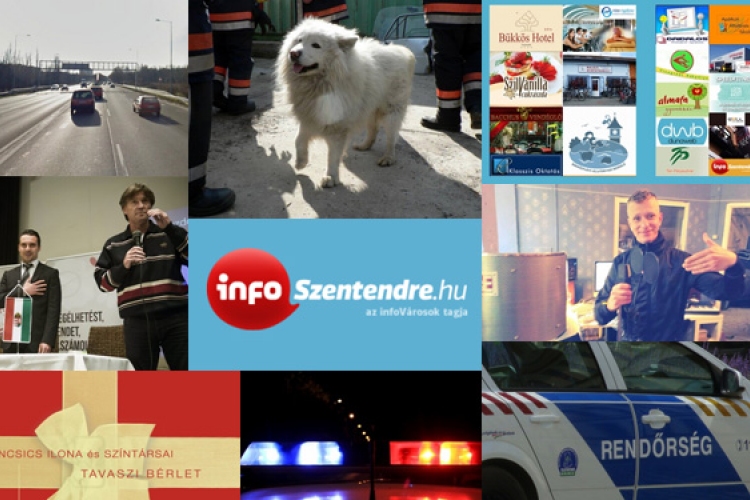 Elveszett tűzoltó-kutya, kampány, szigorúbb rendőrök – Heti hírek