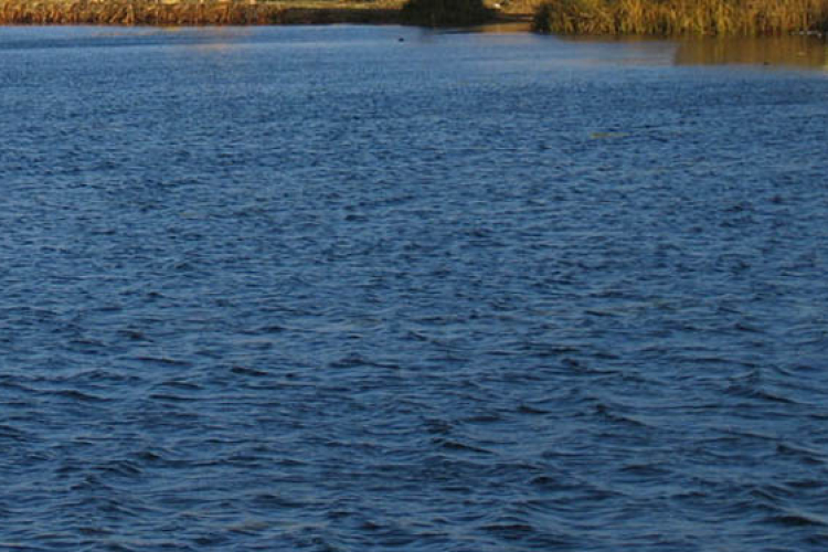 Fiatal fiú fulladt az Omszki tóba